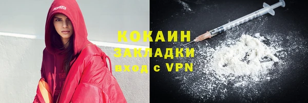 индика Кукмор