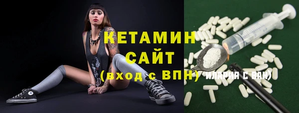 прущие грибы Корсаков