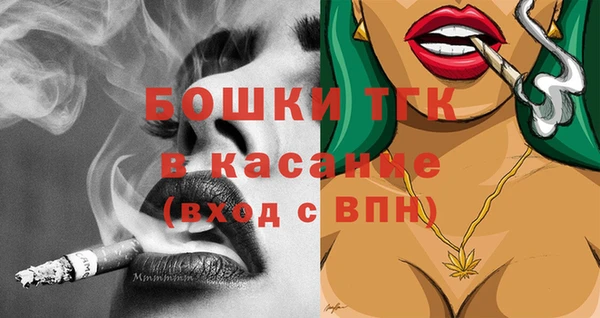 индика Кукмор