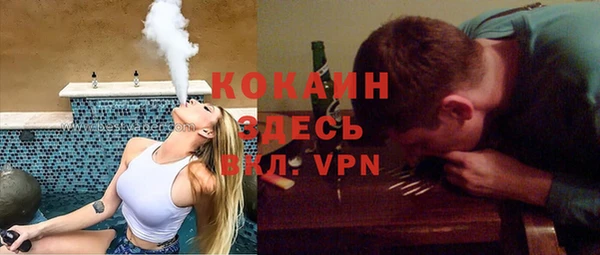 индика Кукмор