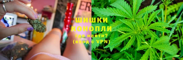 индика Кукмор