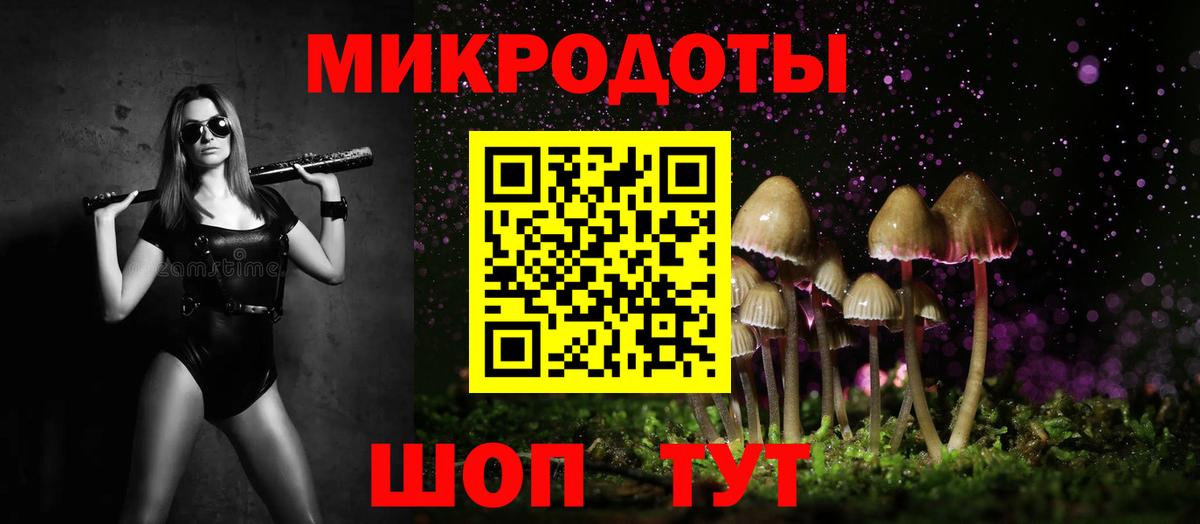 Галлюциногенные грибы Psilocybine cubensis  Вход с VPN  Стрежевой 