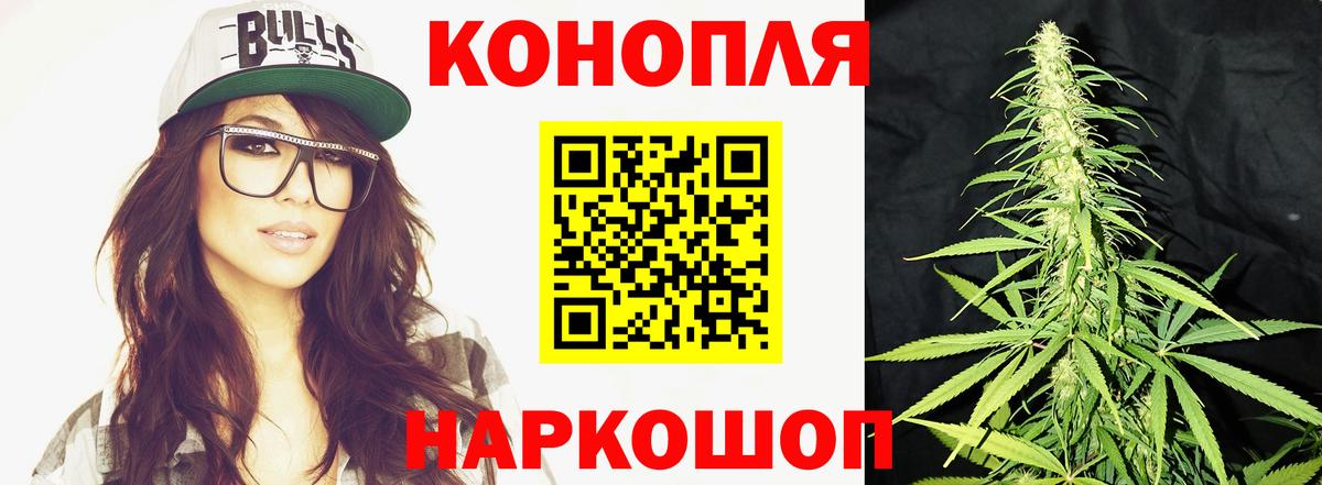 ГАШ Стрежевой