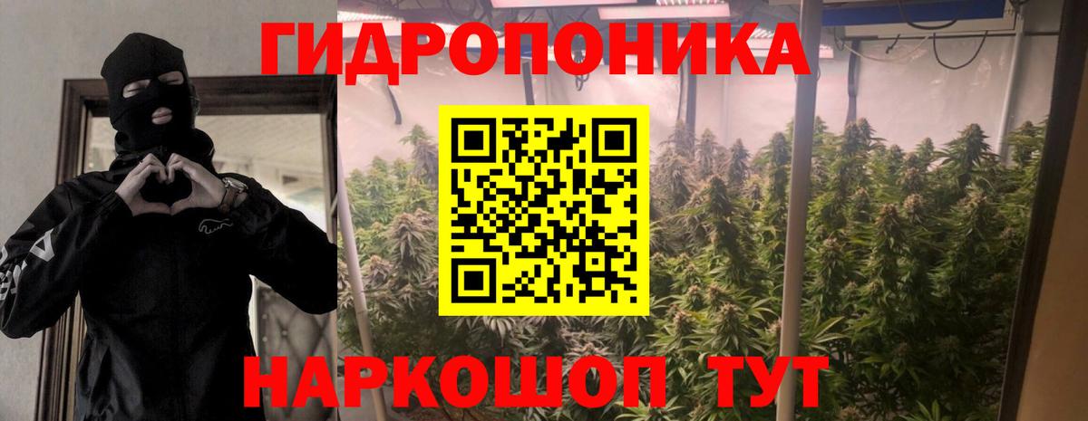 Каннабис конопля Стрежевой